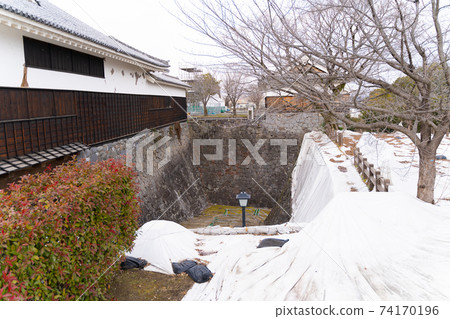 [Kumamoto Prefecture] Kumamoto Castle 74170196