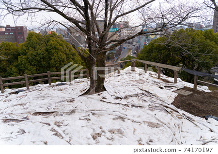 [Kumamoto Prefecture] Kumamoto Castle 74170197