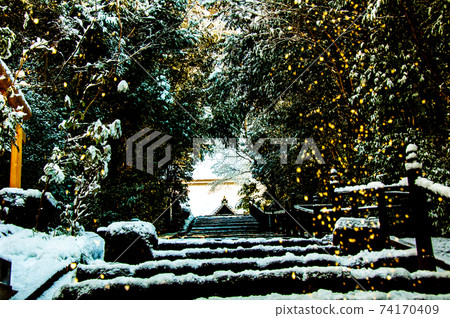 Golden dripping snow on the approach to Rinnoji Temple in Kitayama, Sendai 74170409