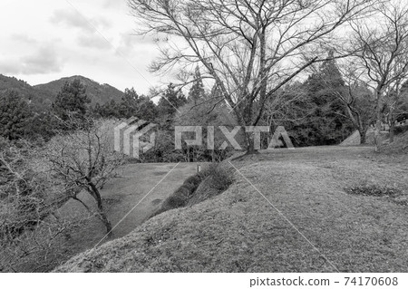 塔米城堡 塔米城堡 74170608
