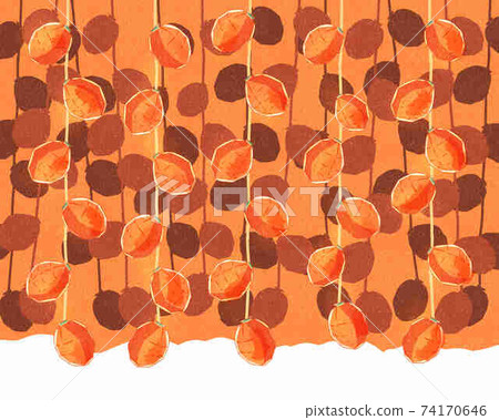 Many dried persimmons hung Many dried persimmons hung 74170646