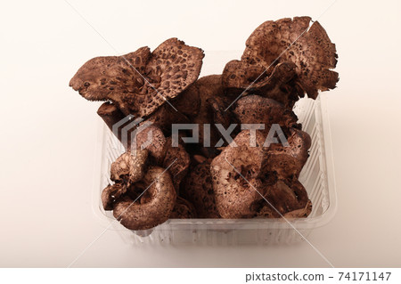 Mushrooms Kotake 74171147