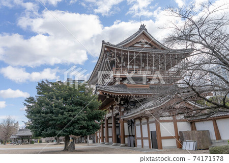 Tibetanin Tibetanin 74171578