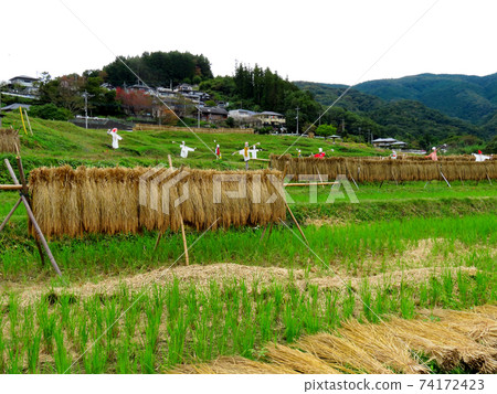 Scarecrow of a small rice terrace Scarecrow of a small rice terrace 74172423