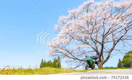 Tooling (spring) 74172536