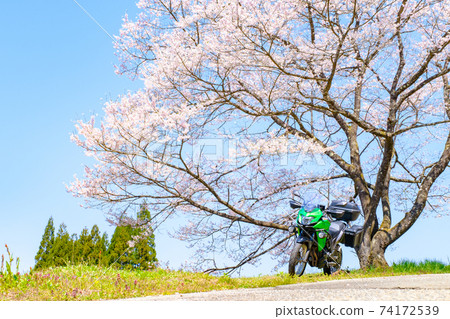 Tooling (spring) 74172539