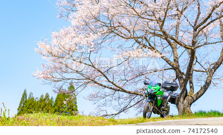 Tooling (spring) 74172540