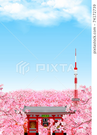 Tokyo cherry blossom spring background - Stock Illustration [74172739 ...