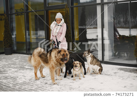African woman walks with dog outdoors 74173271