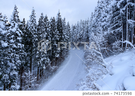 秋田縣雪景藍天 74173598