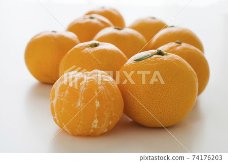 Wenzhou oranges Wenzhou oranges 74176203