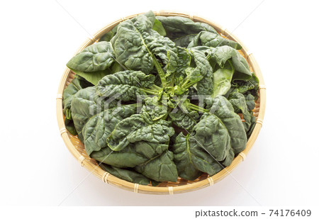 Winter vegetables, shrunk spinach 74176409