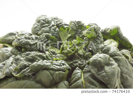 Winter vegetables, shrunk spinach Winter vegetables, shrunk spinach 74176410