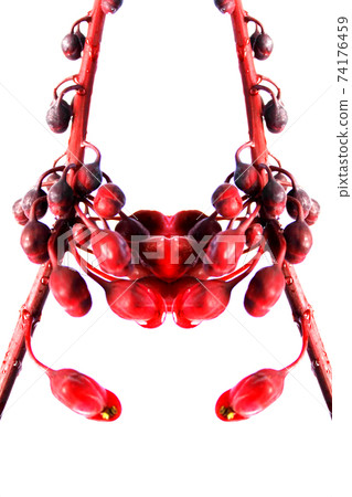 Flowers Design 74176459