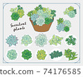 Illustration set of succulents 74176585