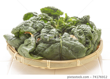 新鮮收縮菠菜 74176912