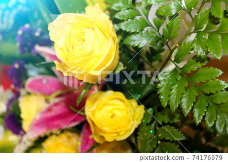 Flower Flower 74176979