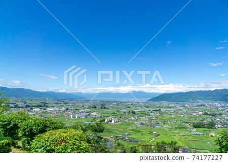 葡萄園,甲府市,甲府克勝沼 葡萄園,甲府市,甲府克勝沼 74177227