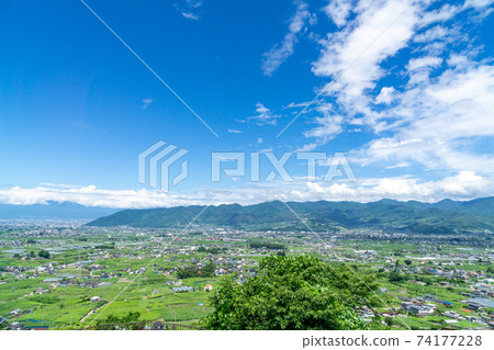 葡萄園,甲府市,甲府克勝沼 葡萄園,甲府市,甲府克勝沼 74177228
