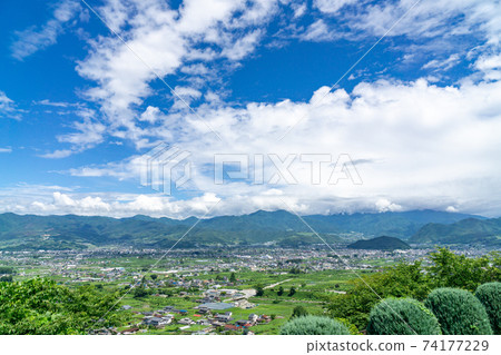 葡萄園，甲府市，甲府克勝沼 74177229