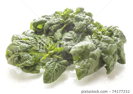 Fresh shrunk spinach Fresh shrunk spinach 74177252