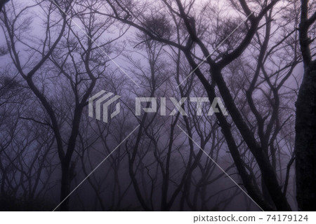 In the mist 74179124