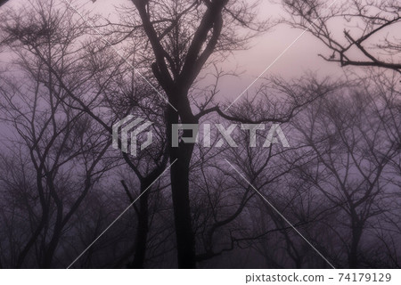 In the mist 74179129