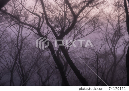 在霧中 在霧中 74179131