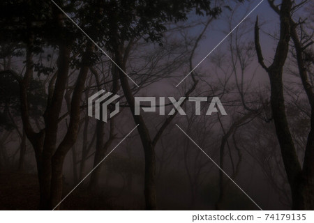 In the mist In the mist 74179135