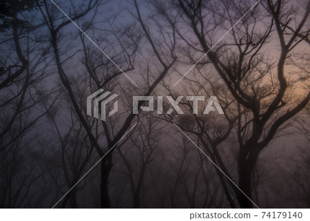 In the mist 74179140