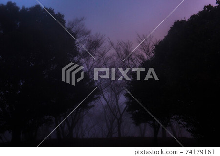 在霧中 74179161