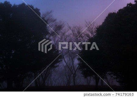 在霧中 74179163