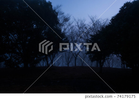 In the mist 74179175