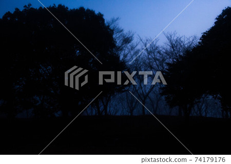 In the mist 74179176