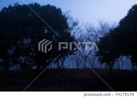 在霧中 在霧中 74179179