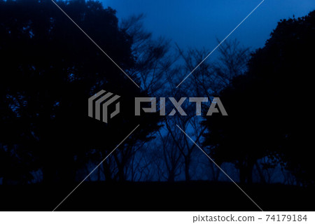 In the mist In the mist 74179184