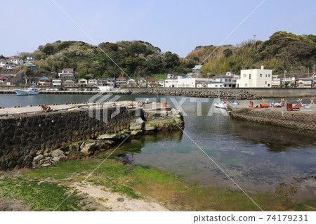 靜岡下田鈴木港 74179231
