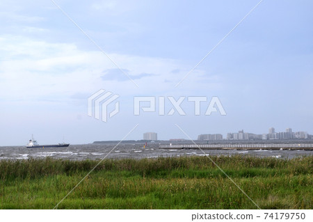 船橋三番澤海濱公園荒浦浦安地區 船橋三番澤海濱公園荒浦浦安地區 74179750