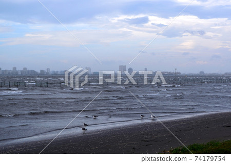 船橋三番澤海濱公園荒浦浦安地區 船橋三番澤海濱公園荒浦浦安地區 74179754