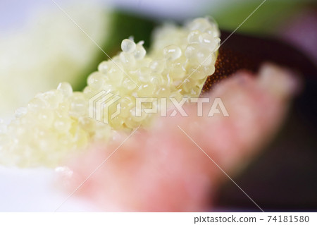 手指石灰 74181580