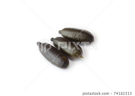 Finger Lime "Emma" Finger Lime "Emma" 74182313