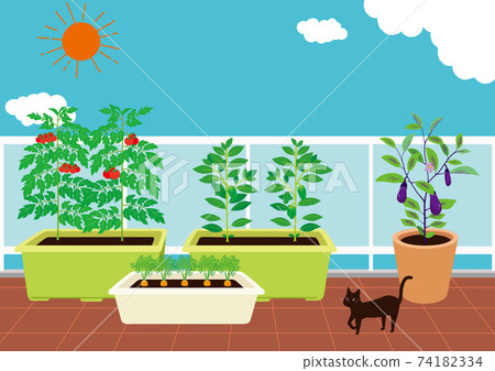 Illustration of a kitchen garden on the balcony 74182334