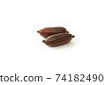Finger Lime "War Cup" 74182490