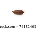 Finger Lime "War Cup" 74182493
