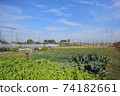 Citizen farm 74182661