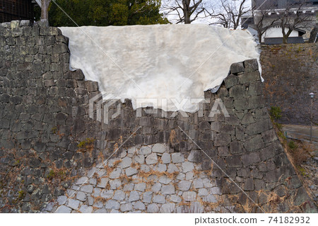 [熊本縣]熊本城 74182932