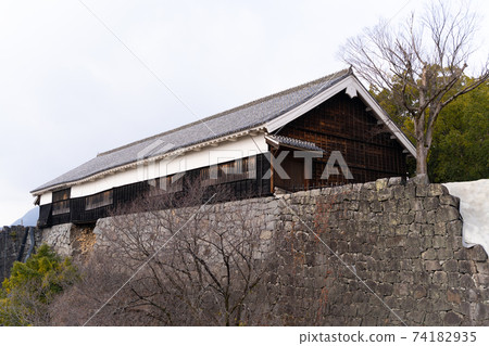 [熊本縣]熊本城 74182935