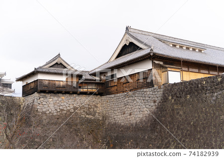 [熊本縣]熊本城 74182939