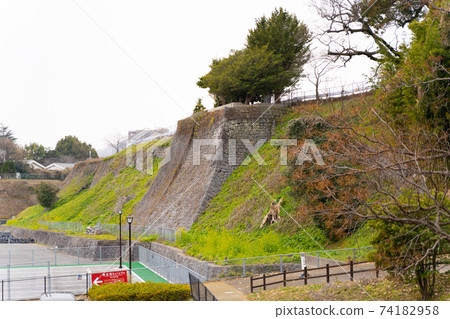 [熊本縣]熊本城 74182958