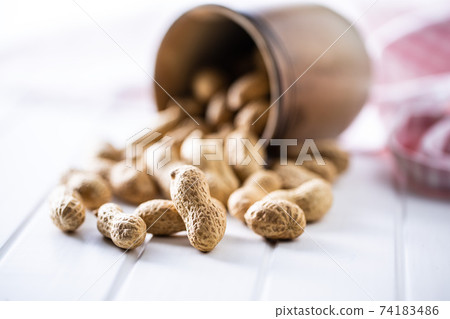 Roasted peanuts. Tasty groundnuts. Roasted peanuts. Tasty groundnuts. 74183486